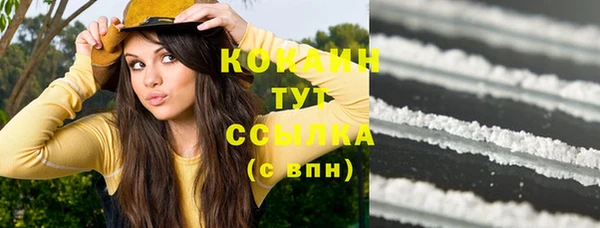 дмт Аркадак