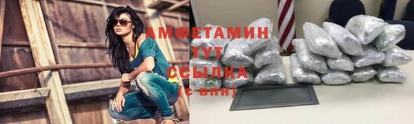 дмт Аркадак