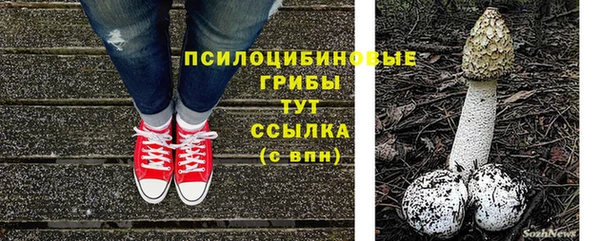 дмт Аркадак