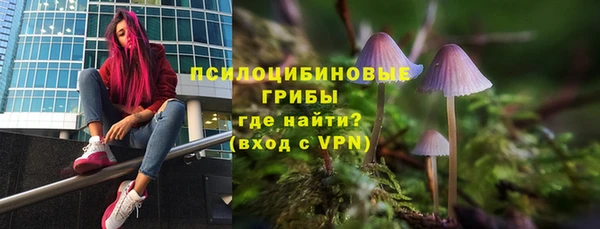 дмт Аркадак