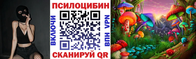 Псилоцибиновые грибы мухоморы  где продают наркотики  Палласовка 